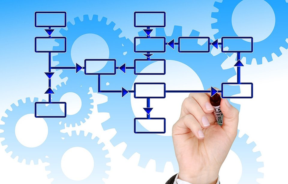 Business Process Management Services